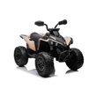 Kép 1/8 - CAN-AM renegade gyerek quad elektromos gyerekeknek