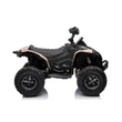Kép 4/8 - CAN-AM renegade elektormos quad gyerekekenek