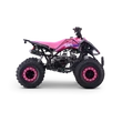 Kép 3/6 - ZXT benzines gyerek quad