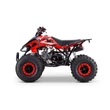 Kép 10/11 - ZXT benzines gyerek quad