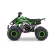 Kép 5/11 - ZXT benzines gyerek quad