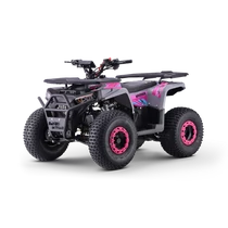 WARRIOR benzines gyerek quad  WARRIOR benzines gyerek quad
