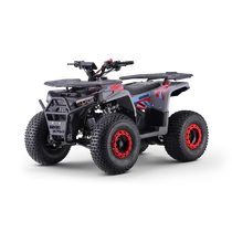 WARRIOR benzines gyerek quad  WARRIOR benzines gyerek quad