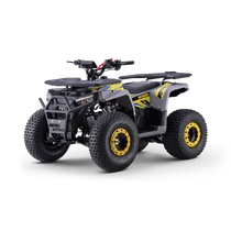 WARRIOR benzines gyerek quad  WARRIOR benzines gyerek quad