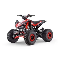 ZXT benzines gyerek quad 